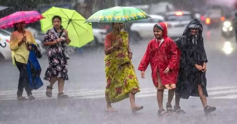 Rain in Kerala: Yellow alert in 9, four districts have school holidays