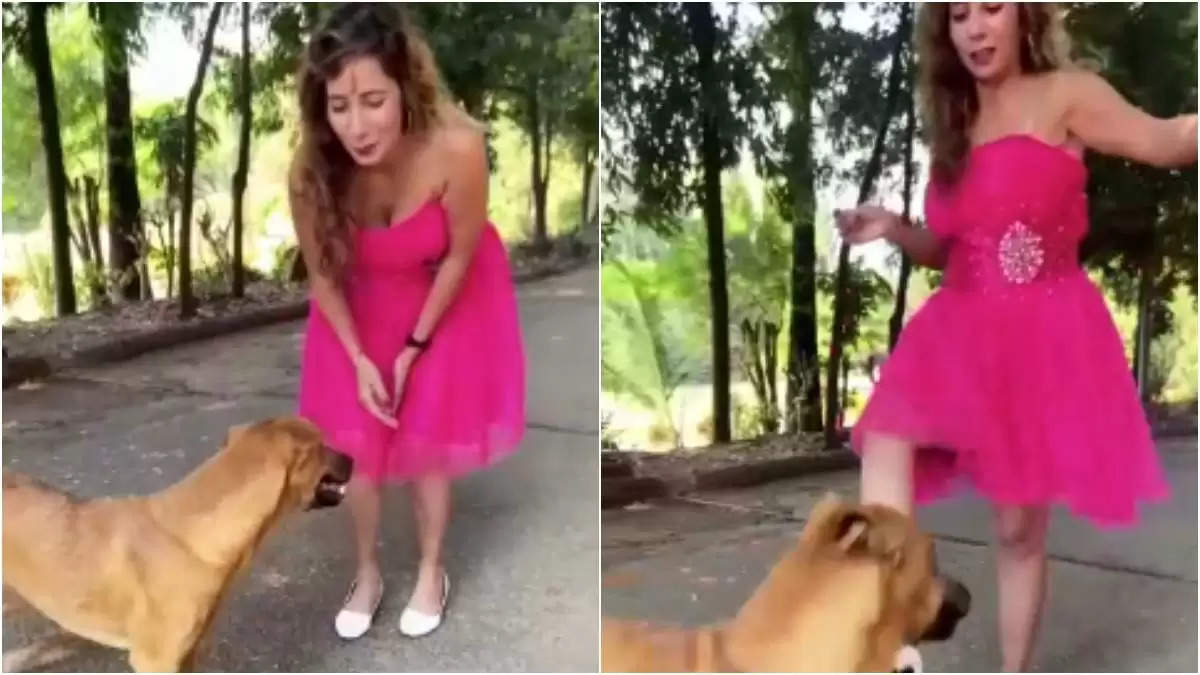 After kicking a dog in a viral video, an Instagram "influencer" declared, "I am an animal lover."