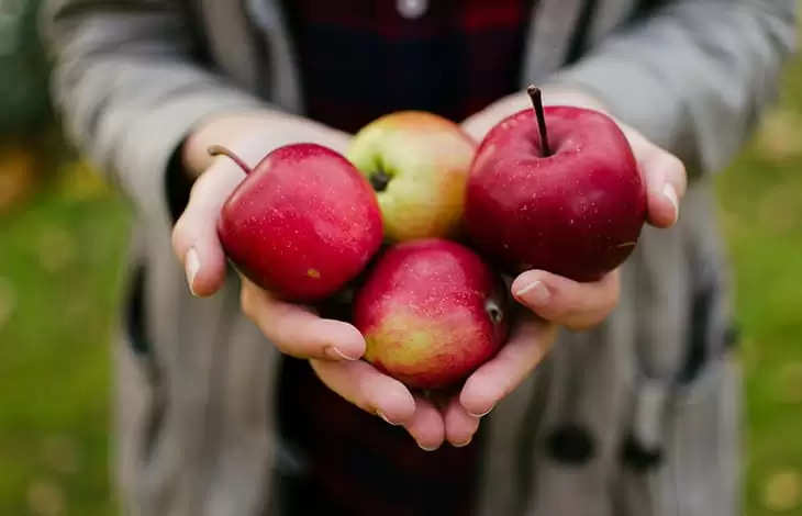 Significant relief for Kashmiri fruit growers after India's government forbids the import of apples at below Rs. 50 per kilogramme