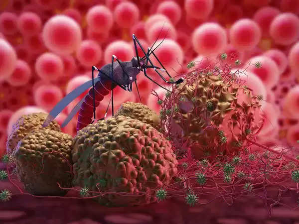 IISc demonstrates the evolution of the dengue virus in India through computer analysis.